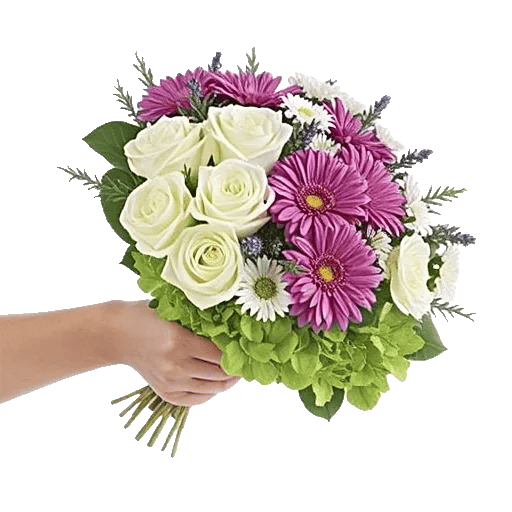 Rosemary Bloom Elegance