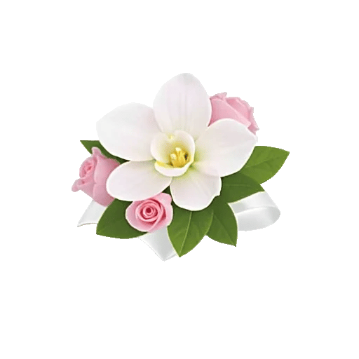 Minimalist White Orchids