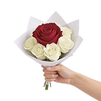Crimson Rose Elegance