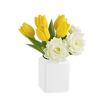 Velvet Tulip Display