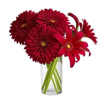 Crimson Blossom Harmony