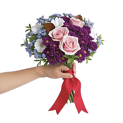 Blossom Petal Serenity