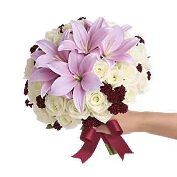 Blushing Rose Symphony