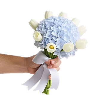 Serene Garden Harmony