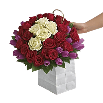 Crimson Rose Elegance