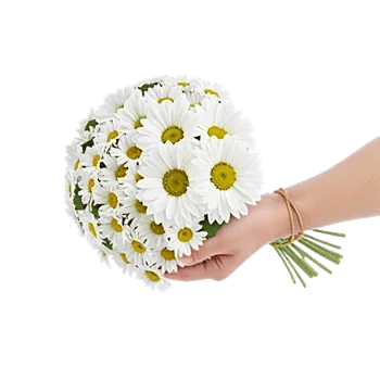 Petal Harmony Bliss