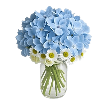 Azure Sky Blooms