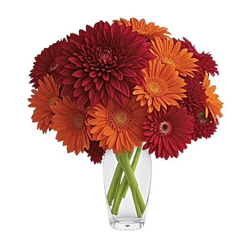 Crimson Blossom Harmony