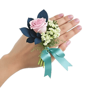 Blossom Petal Serenity