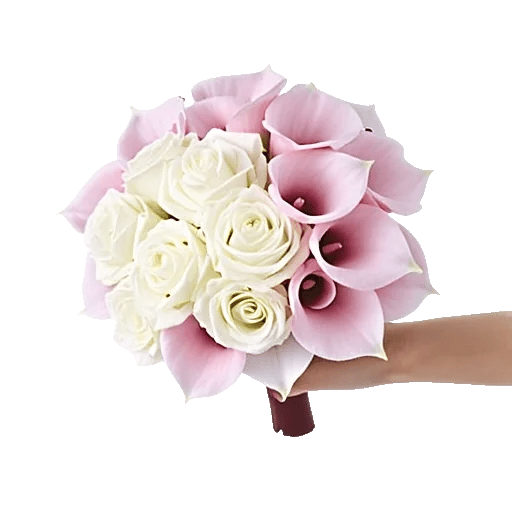 Elegant Calla Lilies