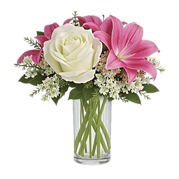 Ivory Blossom Radiance