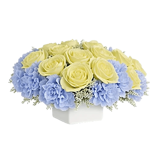 Blooming Serenity Display