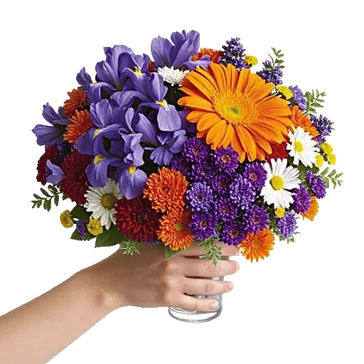 Vibrant Bloom Spectrum