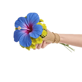 Serene Petal Harmony