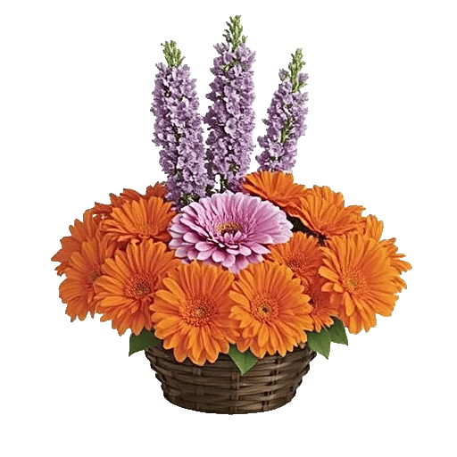 Rosemary Bloom Elegance