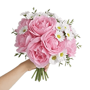 Peony Petal Harmony