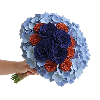 Serenity Blossom Grace