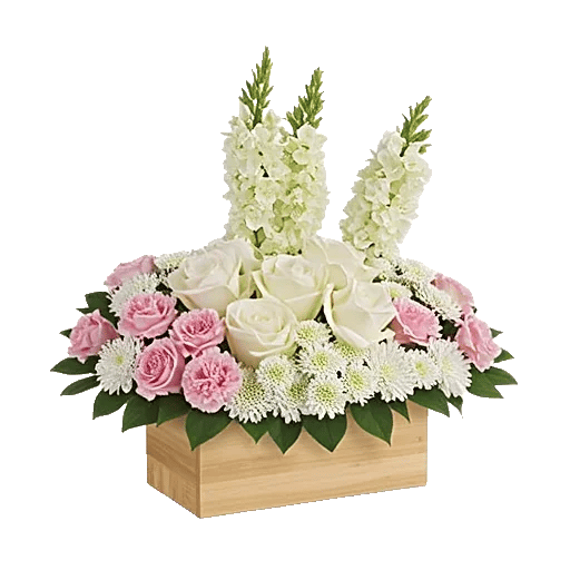 Delicate Petal Cascade