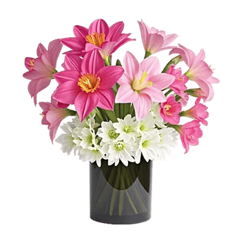 Petal Radiance Bliss