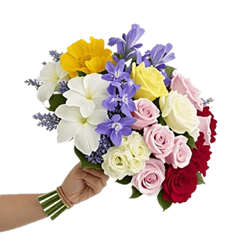 Blossom Harmony Display