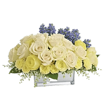 Blush Romantic Centerpiece