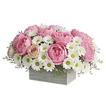 Delicate Petal Cascade