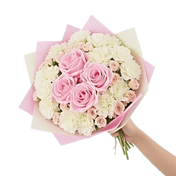 Pastel Pink Roses