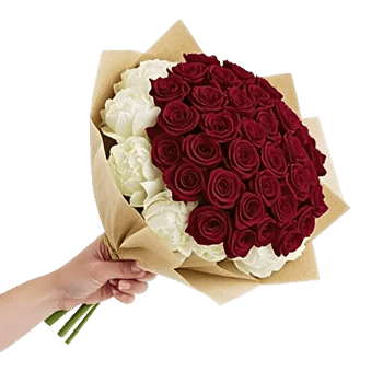 Crimson Rose Elegance