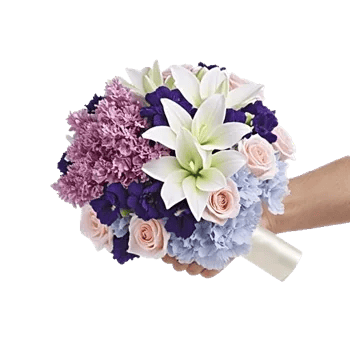 Ivory Blossom Radiance