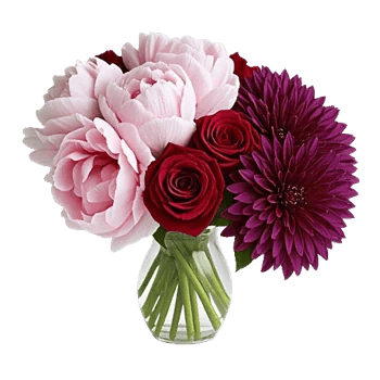 Peony Petal Harmony