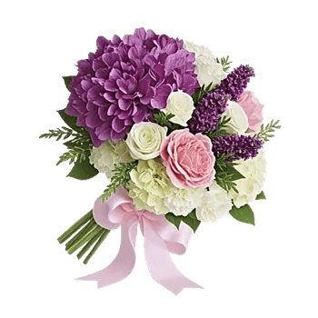 Ivory Blossom Radiance