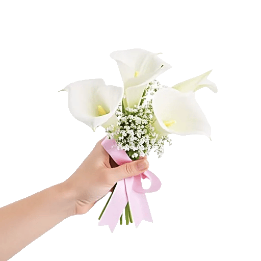 Elegant Calla Lilies