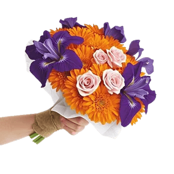 Ivory Blossom Radiance