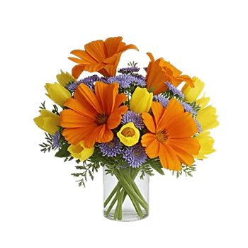Petal Radiance Bliss