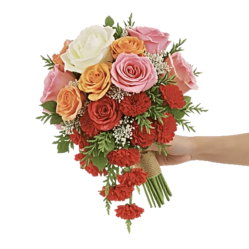 Delicate Petal Cascade