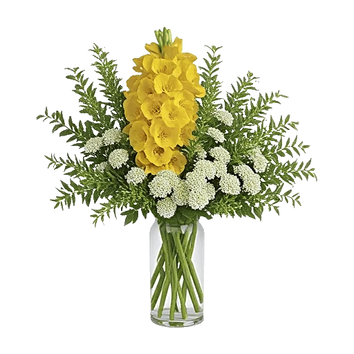 Ivory Blossom Radiance