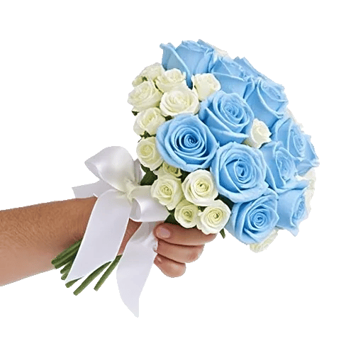 Elegant Blue Roses