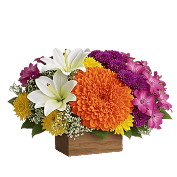 Petal Radiance Bliss