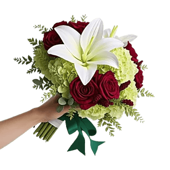 Elegant Calla Lilies