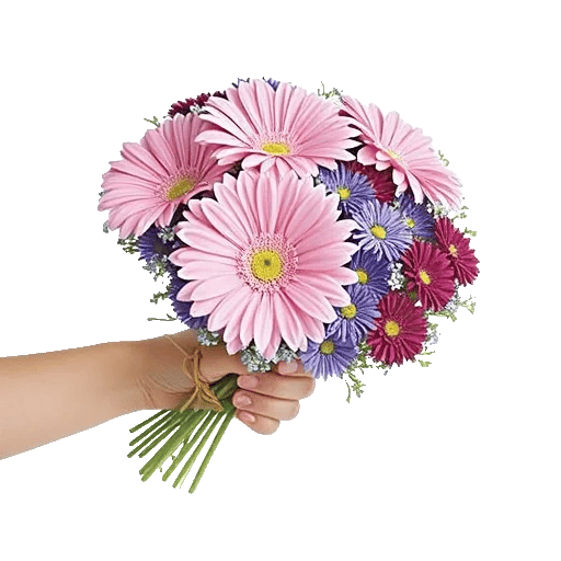 Blossom Petal Serenity