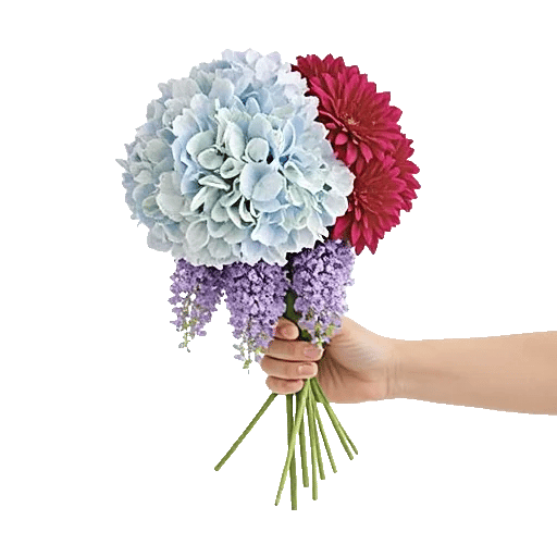 Serene Petal Harmony