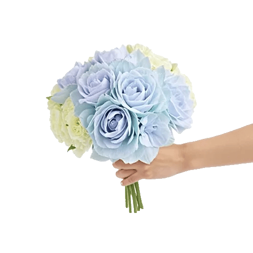 Serene Petal Harmony