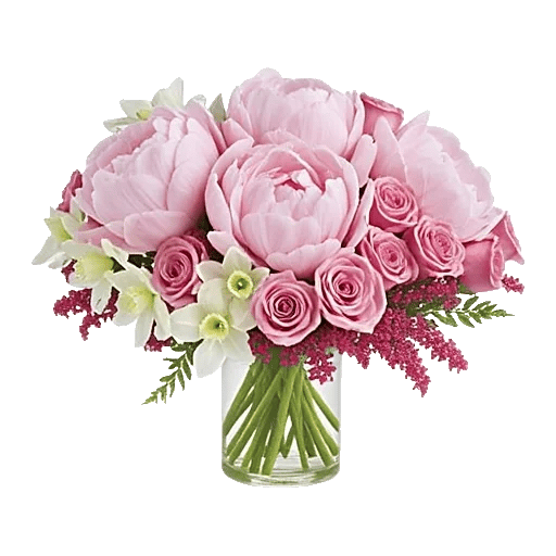 Petal Radiance Bliss