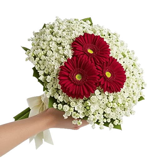 Blossom Harmony Display