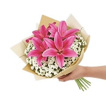 Blossom Petal Serenity