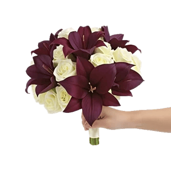 Elegant Calla Lilies