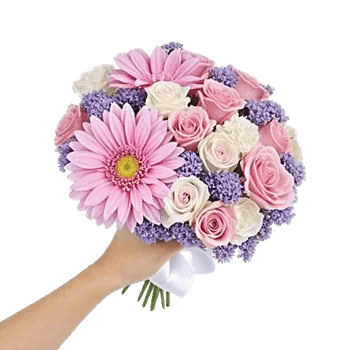 Pastel Pink Roses