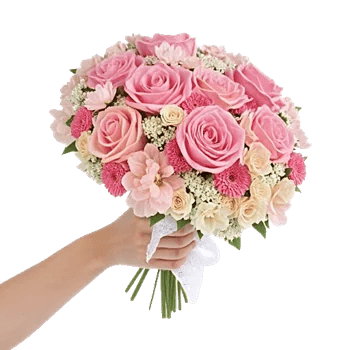 Blushing Rose Symphony