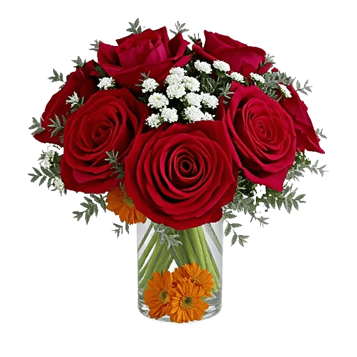 Crimson Blossom Harmony