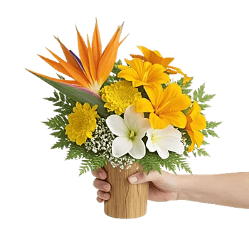 Tropical Sunflower Burst